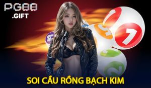 Soi Cầu Rồng Bạch Kim